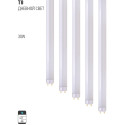 T8 30W 6500K STANDARD