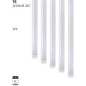 T8 36W 6500K STANDARD