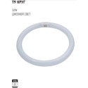 T9 CIRCULAR 32W 6500K