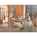 Dining Table MJ-101 - Обеденный стол
