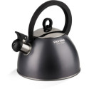 Чайник Rondell RDS-099