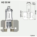 Flosser H2 12V 55W X511