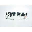 Bou si vaca