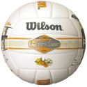 Minge volei Endless Summer, marimea 5