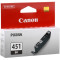 Ink Cartridge Canon CLI-451Bk Black
