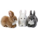 Кролик "Tobia" - 25 см