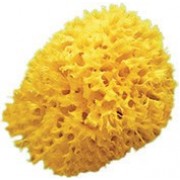Губка "Honeycomb" 12