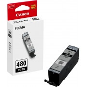 Ink Cartridge Canon PGI-480 PGBK EMB Canon PIXMA TS6140, TS8140, TS9140, TR7540, TR8540