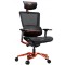 Gaming Chair Cougar Chair ARGO Orange, User max load up to 150kg / height 160-190cm