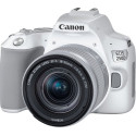 DSLR Camera CANON EOS 250D 18-55 f/3.5-5.6 IS STM White (3458C003)