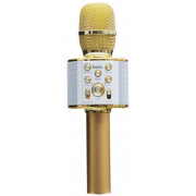 HOCO BK3 Cool sound KTV microphone Gold
