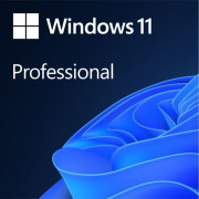 Windows 11 Pro  64Bit Eng Intl 1pk DSP OEI DVD