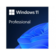  FQC-10528  Windows 11 Pro 64Bit Eng Intl 1pk DSP OEI DVD