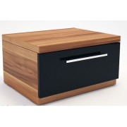 Indart NOPTIERA GLOSS