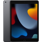 Планшет Apple iPad 10.2 2021 256Gb WiFi Space Grey