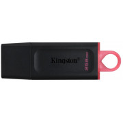  256GB USB Flash Drive Kingston DTX/256GB DataTraveler Exodia, USB 3.2 (memorie portabila Flash USB/внешний накопитель флеш память USB)