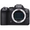 Mirrorless Camera CANON EOS R6 Mark II 2.4GHz Body (5666C005)