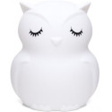 Cute Series Owl Silicone Night Light, White