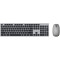 ASUS W5000 Wireless Keyboard+Mouse, Grey, USB (set fara fir tastatura+mouse/беспроводной комплект клавиатура+мышь)