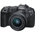 Mirrorless Camera CANON EOS R8 + RF 24-50 f/4.5-6.3 IS STM  (5803C016)