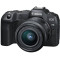 Mirrorless Camera CANON EOS R8 + RF 24-50 f/4.5-6.3 IS STM (5803C016)