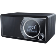 Sharp  DR-450GRV02, Portable Digital Radio