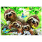 Educa 18450 500 Sloth Family Selfie