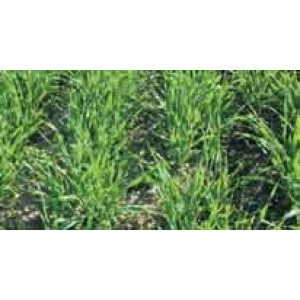 ДИАНАТ цена за 1л