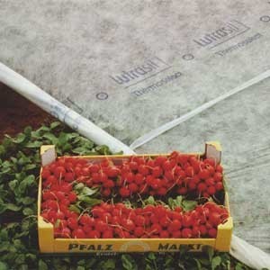 Lutrasil L17 8,0m*100m