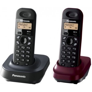 Телефон Panasonic DECT KX-TG1402UA3, Gray/Shade Red, TG1401 + optional handset