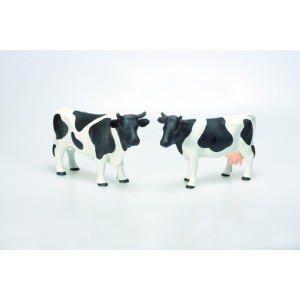 Bou si vaca