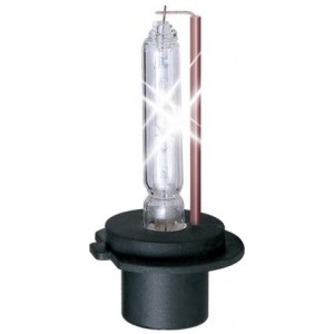 Xenon Lamp / Ксеноновая лампа Eagle 6000K