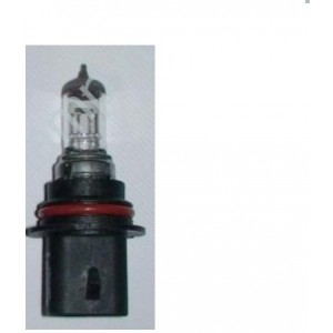Flosser HB1 12V 65/45W P29t
