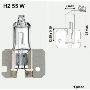 Flosser H2 12V 55W X511