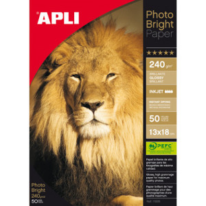 A4 Photo Bright Pro ink., 240g., 2880dpi, 60F (лист) APLI