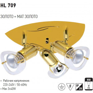 HL709 CORP DE IL. P/U TAVAN MAT AUR