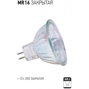 MR16 12V20W CLOSED DICHROIC HALOGEN LAMP (Horoz Electric)