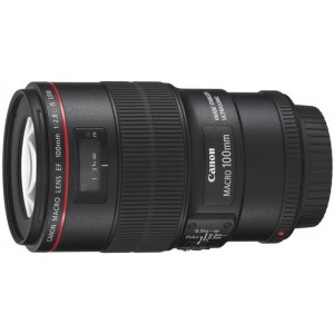 Prime Lens Canon EF 100mm, f/2.8 L Macro IS USM Lens