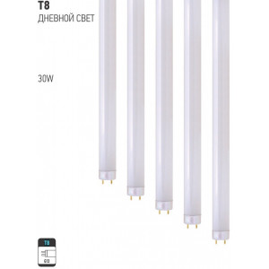 T8 30W 6500K STANDARD