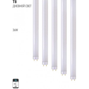 T8 36W 4100K STANDARD