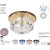 HL801 20W JC G4 corp de il. transparent
