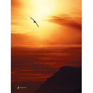 Gembird Mouse Pad, Picture with header card, SBR