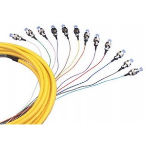 Bundle Pigtail FC SM 9/125 12 fiber, FO1030