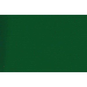 Картон ARGO Delta A4/250г/м2 зеленый