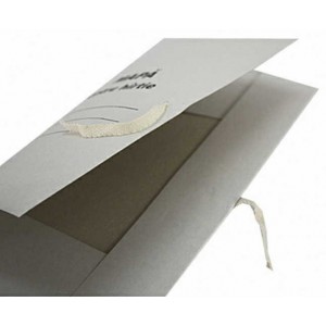 Папка картонная с завязками (плотный картон)