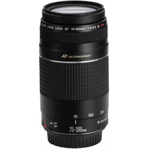 Zoom Lenses Canon EF  75-300mm, f/4-5.6, III USM