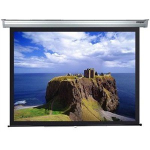 Electrical 244x244cm UltraScreen Champion 1:1, Cable Remote Control