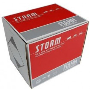 Fiamm - Moto 7904471-7904202 FTZ10S-12B W Storm Oth 4 /auto acumulator electric