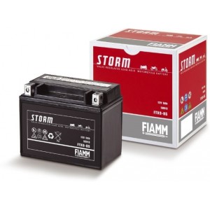 Fiamm - Moto 7904492 FTX20L-BS/auto acumulator electric