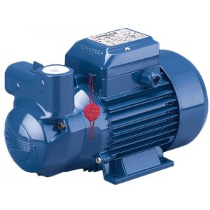 CKm80-E самовсасывающий жидкостно-кольцевой эл.насос Pedrollo 46CKE80A1